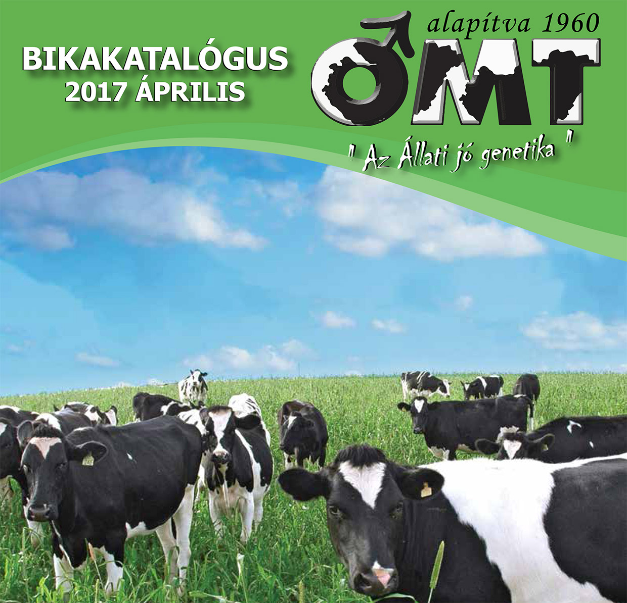 OMT Bikakatalógus 2017.április